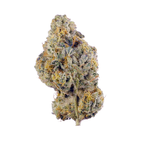 Triple Cake(Hybrid)